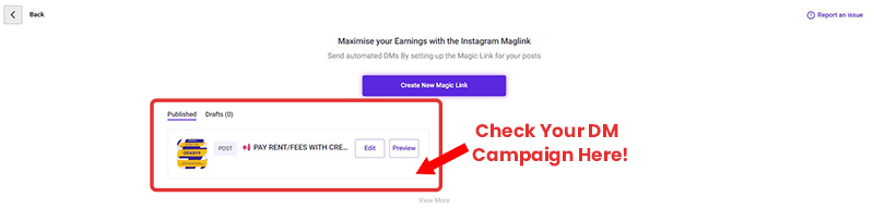 Instagram Comment to DM Automation with Magic Link: How to Set Up Auto Replies on IG Followers' Comments? 14 Magic Link Setup Page 11: How Your DM Campaign Looks Like